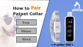 Pair-the-Dog-Training-Collar-Patpet-650