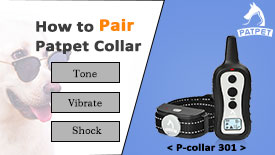 Pair the Patpet 301 Dog Collar