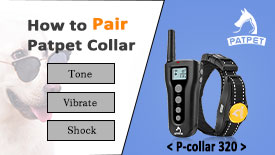 Pair-the-Patpet-320-Electric-Dog-Collar