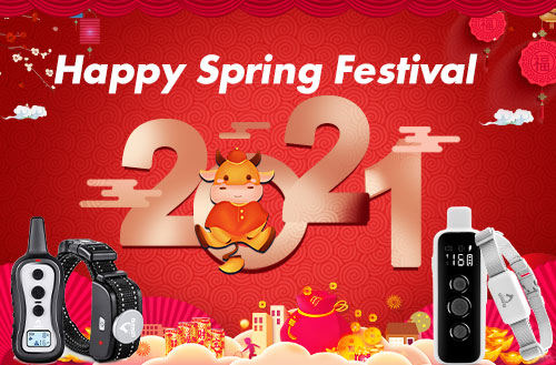 2021 Patpet Spring Festival Holiday