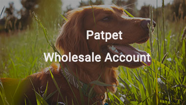 Patpet Wholesale Account