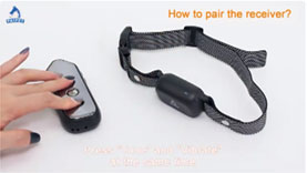 Pair the 370 Dog Training Collar