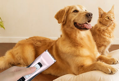 How-to-Use-Pet-Grooming-Clipper