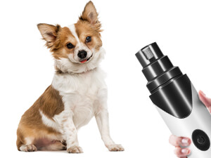 Introduce the Electric Dog Nail Trimmer