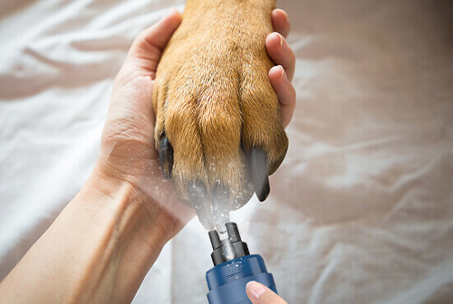 How to Trim Dog Nails - Whole Dog Journal